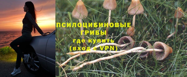 МДПВ Алексеевка
