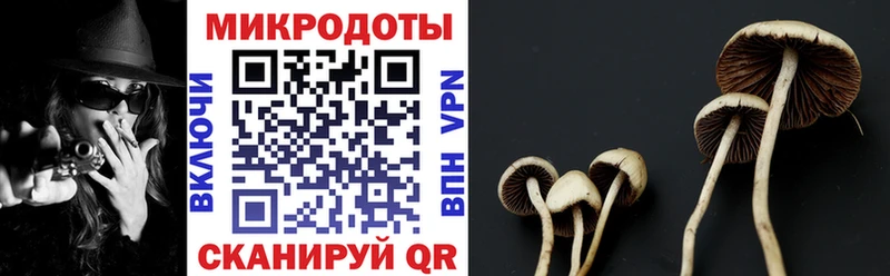 Галлюциногенные грибы GOLDEN TEACHER Солигалич